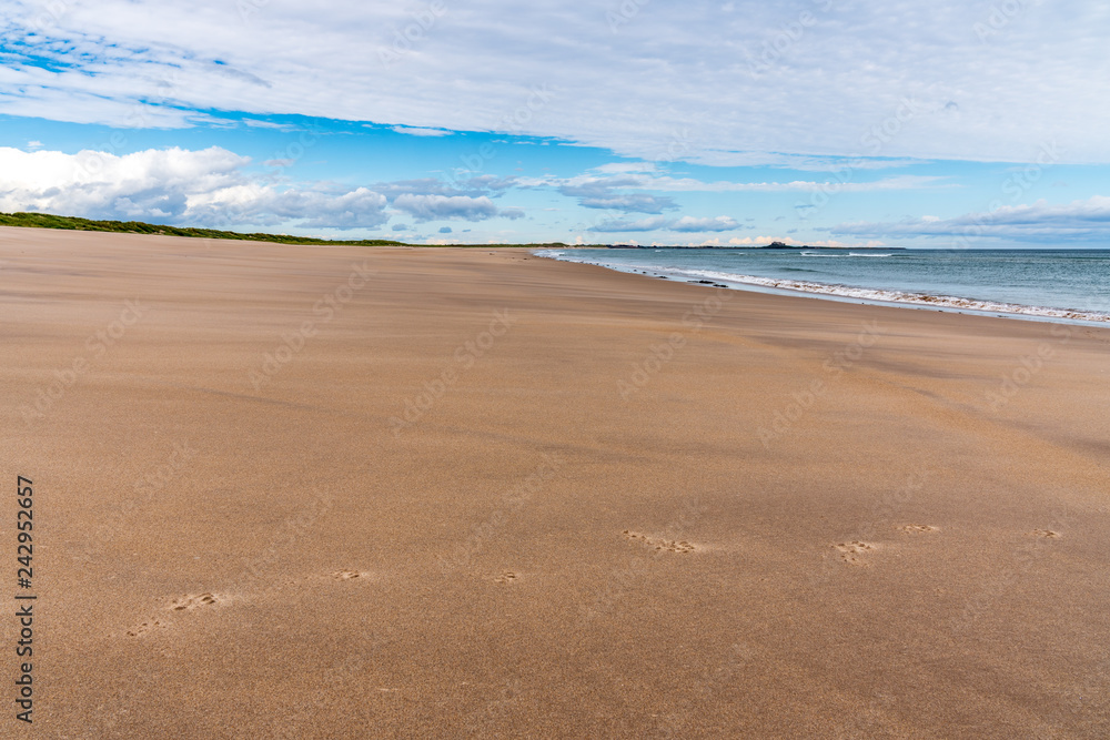 The Beach at Ross Sands, near Seahouses in Northumberland, England, UK