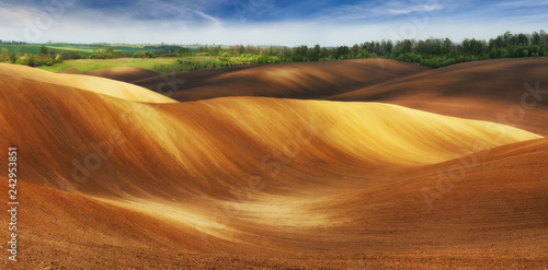 hilly field. picturesque waves of a dirt field. hilly valley