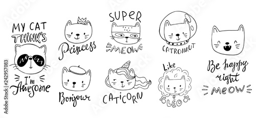 set of cartoon cats in funny clothes and accessories