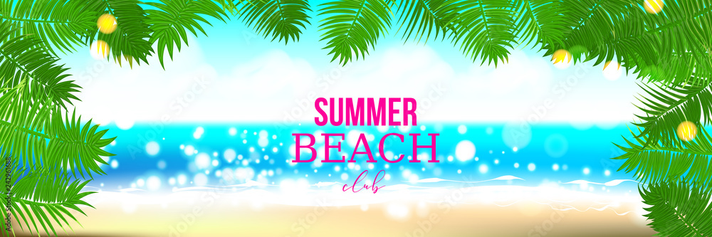 Summer time club seashore palm landscape