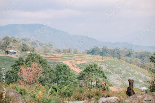 view of rural landscape