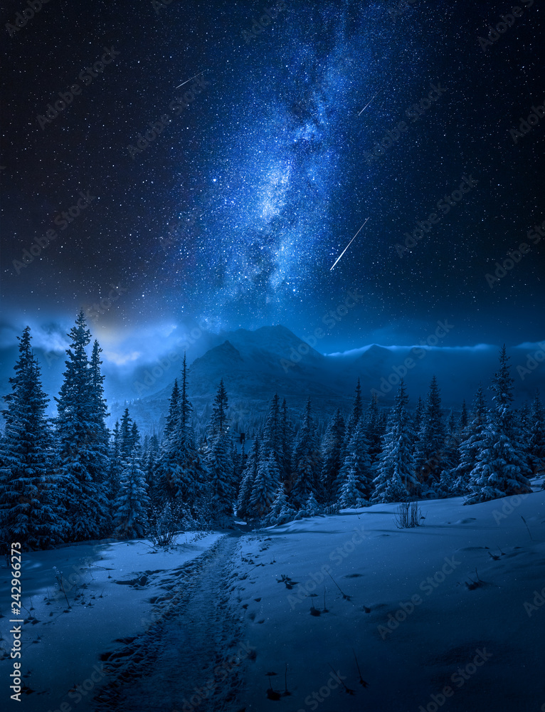 Obraz premium Góry Tatry zimą w nocy i spadające gwiazdy