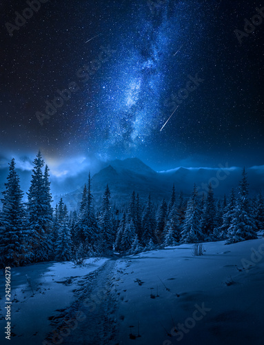Tatras Mountains in winter at night and falling stars