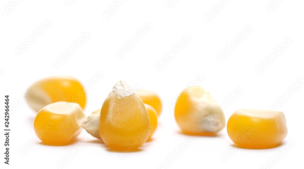 Yellow grain corn isolated on white background, for popcorn, macro Yellow grain corn isolated on white background, for popcorn, macro