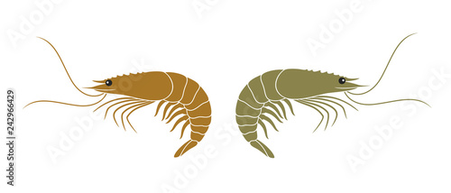 Shrimp Logo. Isolated shrimp on white background. Prawns