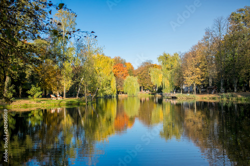 Autumn park, colorful leaves on trees. Reflection in the lake