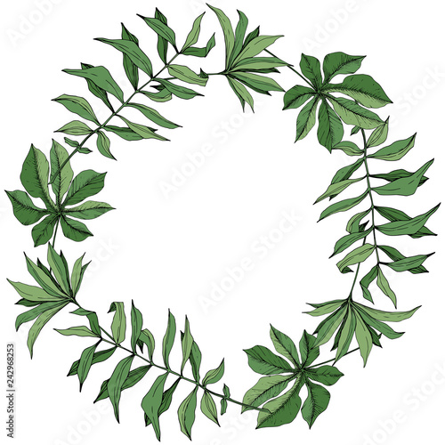 Vector Green leaf plant botanical foliage. Engraved ink art. Palm beach tree leaves. Frame border ornament square.