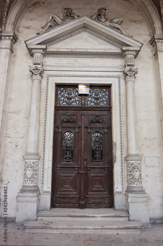 Beautiful carved door of one of the buildings of Vienna.