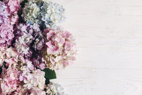 Colorful pink,blue,green,white border of hydrangea, greeting card with space for text. Beautiful hydrangea flowers on rustic white wood, flat lay. Hello spring. Happy mothers day. Women day © sonyachny