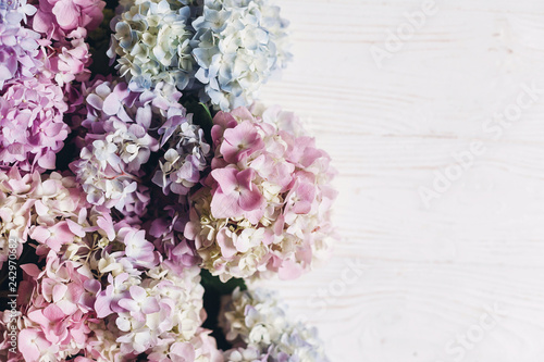 Fototapeta Naklejka Na Ścianę i Meble -  Beautiful hydrangea flowers on rustic white wood, flat lay. Colorful pink,blue,green,white border of hydrangea, greeting card with space for text. Hello spring. Happy mothers day. Women day