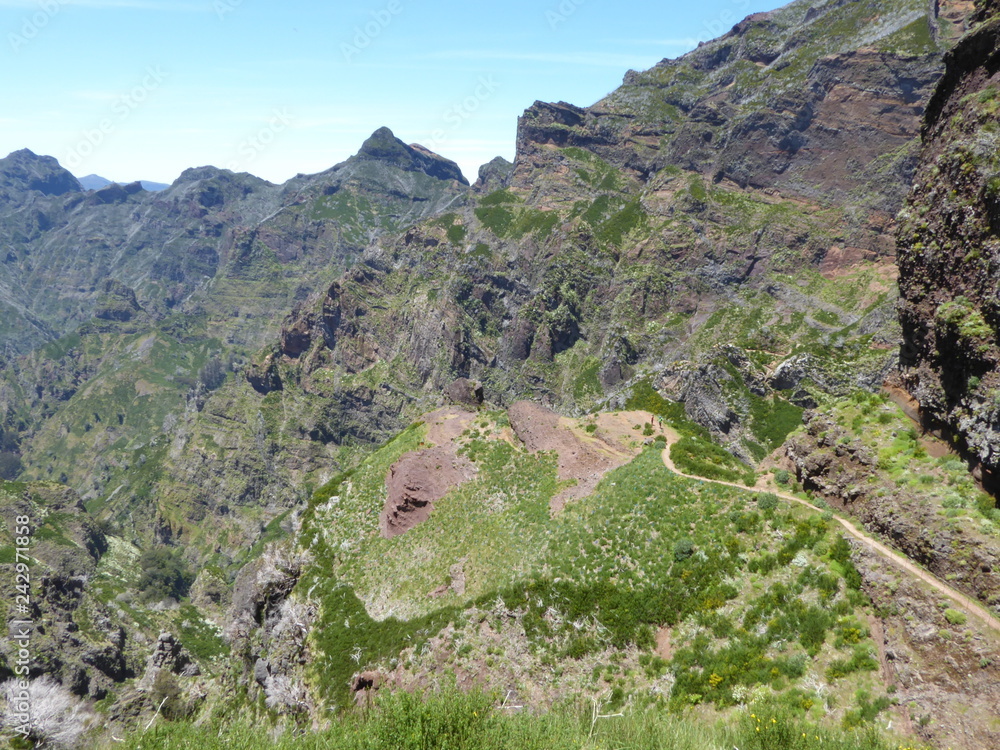 Fototapeta premium Madere 17