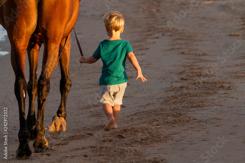 Little boy walking with a horse on the beach. Back view. Copy space