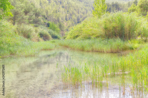 Touristic village of Montanejos. Mijares river. Natural and wild green scenery, close to the swimming area "The spring of baths". Beautiful river with thermal and medicinal waters. Warm color. © Navelina orange