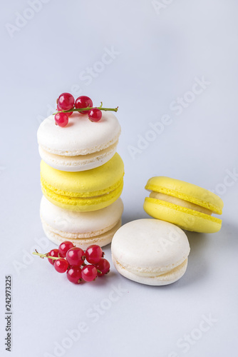 French Colorful Macarons White and Yellow Macarons on Blue Background with Fresh Red Currant Vertical French Dessert © katekrsk