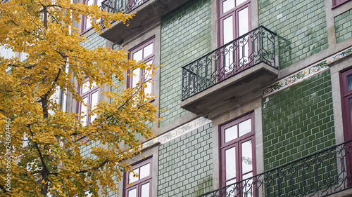 Windows in the green brickwall with balcony in Porto (Portugal) and a tree with yellow autumn leaves