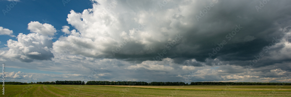 Fototapeta premium forest and wheat field and thunderclouds. Web banner.
