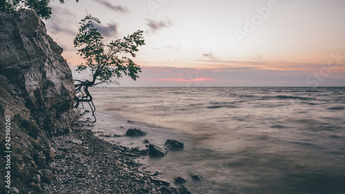 Tree on the rocky shore at sunrise