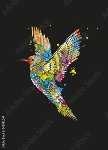 farbenfroher fliegender Kolibri auf schwarzen Grund