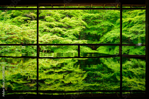 新緑の瑠璃光院