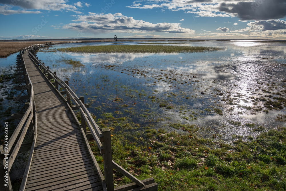 Fototapeta premium Wooden path to the lake.