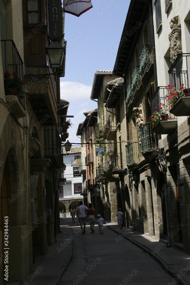 Olite, historical village of Navarra.Spain