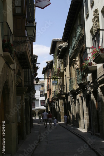 Olite  historical village of Navarra.Spain