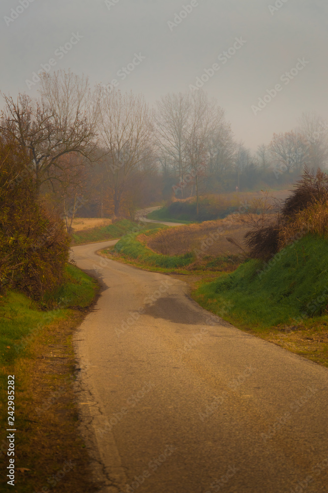 Asphalt country road in autumn with fog