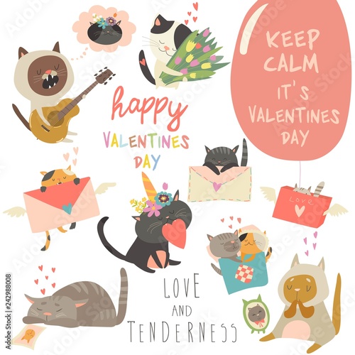 Set of vector cartoon characters cats in love theme