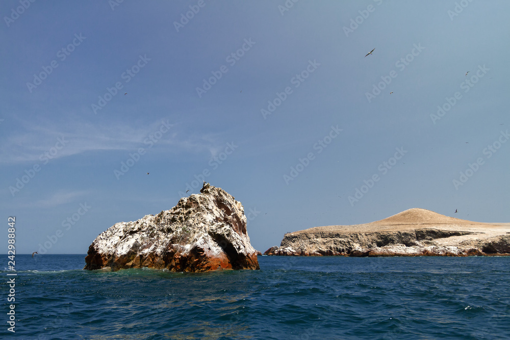 Islet covered with guano and flocks of birds in the Ballestas Islands (Paracas, Peru)