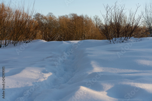 winter landscape, path in the forest