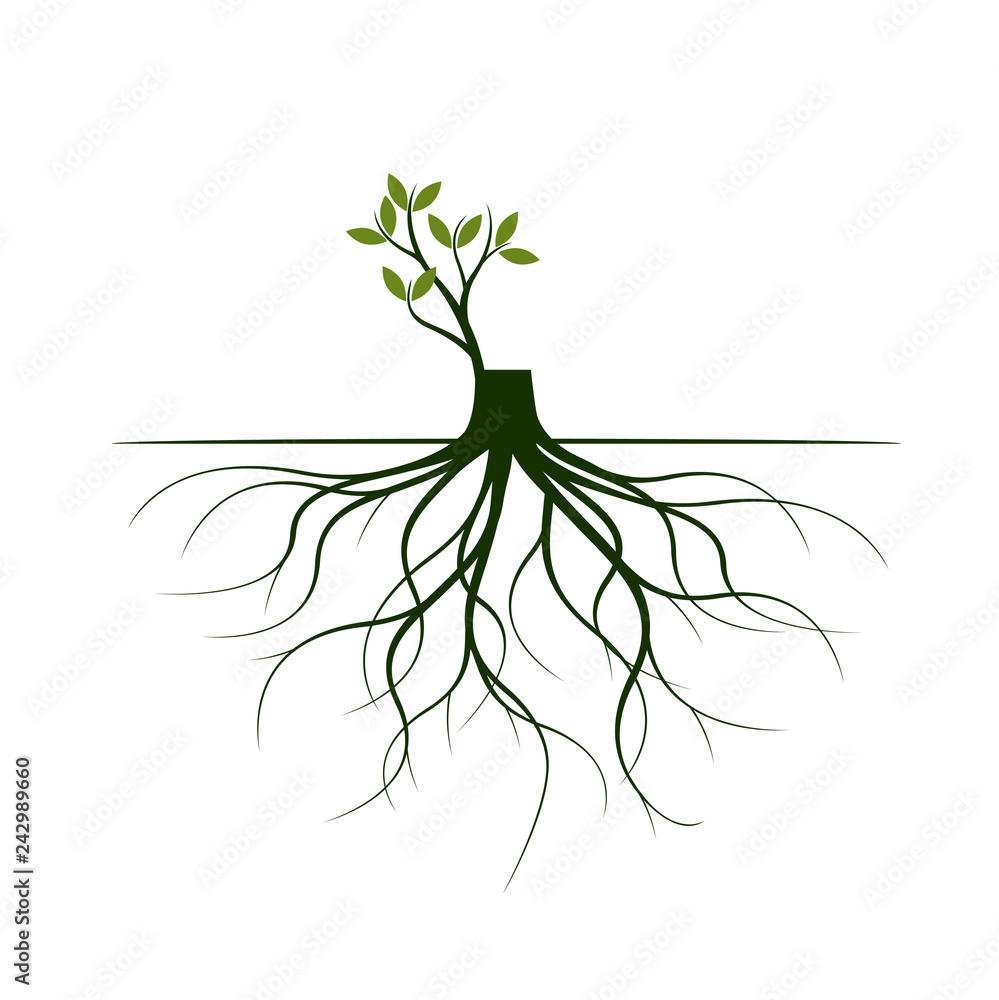 Tree Roots and germinate limb. Roots of plants. Vector Illustration. Tree Roots and germinate limb. Roots of plants. Vector Illustration.