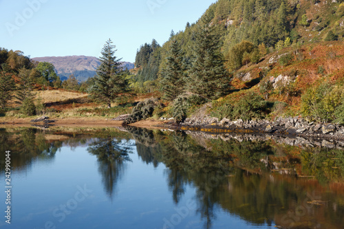 Lake with Wood in Scottish Highlands Ault a Chruinn