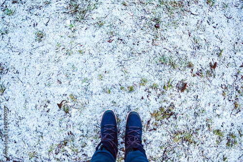 First snow on green grass