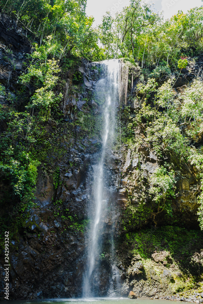 Obraz premium Wasserfall auf Kauai, Hawaii
