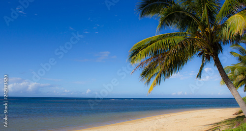 Fototapeta Naklejka Na Ścianę i Meble -  Paradiesicher Strand auf Kauai, Hawaii