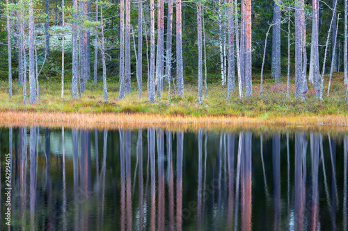 Lake in the woods in autumn with reflections