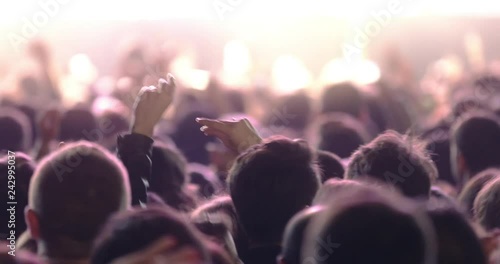 Wallpaper Mural Iconic night rock concert People cheer move lift and clap their hands Torontodigital.ca