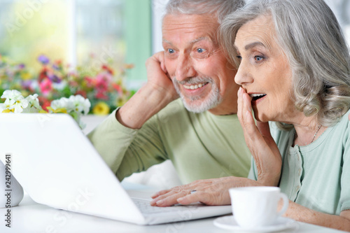 Portrait of cute senior couple with laptop