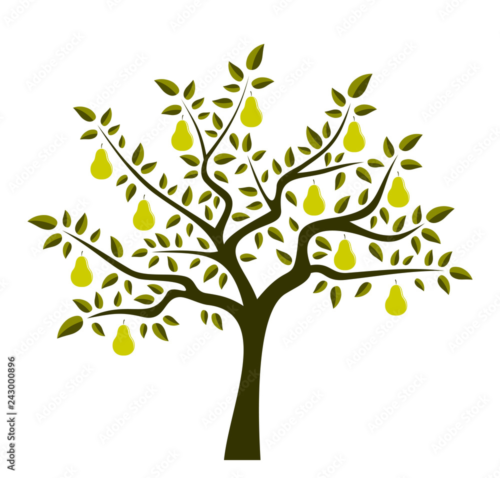 Obraz premium pear tree