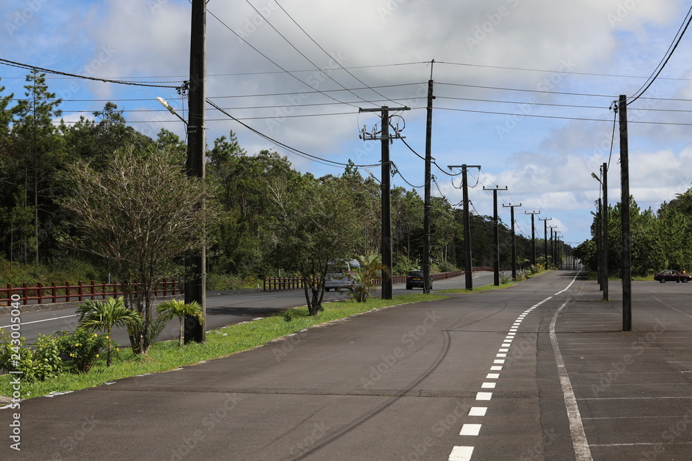 Roadway with asphalt is divided by plants.