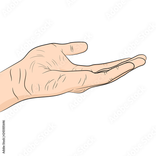 Empty open hand. Hand drown vector illustration.
