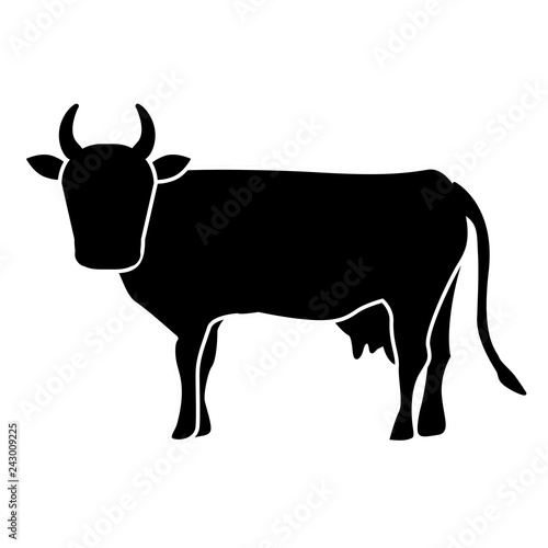 Indian brown cow