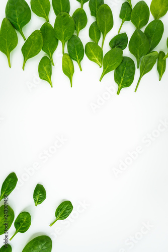 Fresh green leaves spinach isolated on a white background.