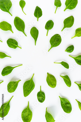 Fresh green leaves spinach isolated on a white background.