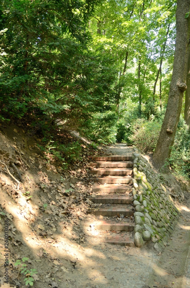 Steps path