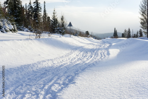 Snow-covered rural road leads to the village among the coniferous forest.