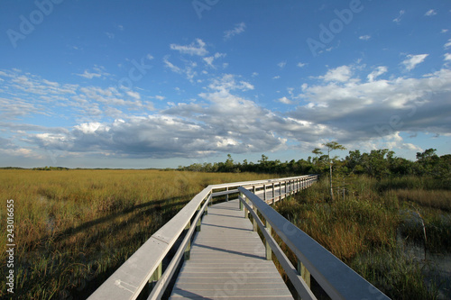 The Pa-Hay-Okee boardwalk in Everglades National Park, Florida, on the edge of an expanse of sawgrass.