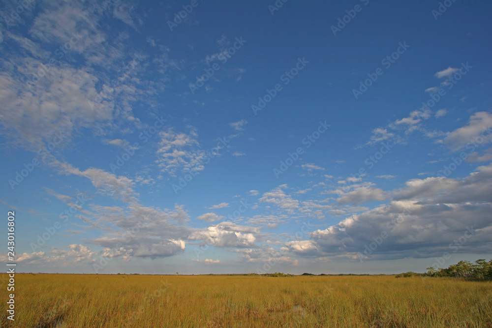 Sawgrass expanse in Everglades National Park, Florida, from the Pa-Hay-Okee boardwalk under a beautiful autumn cloudscape.