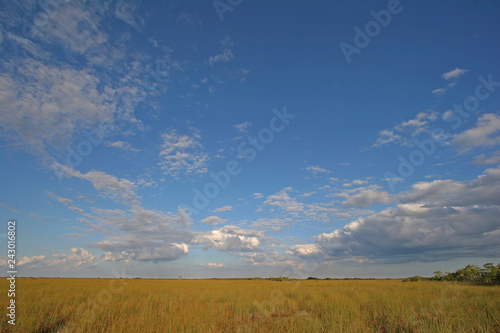 Sawgrass expanse in Everglades National Park  Florida  from the Pa-Hay-Okee boardwalk under a beautiful autumn cloudscape.
