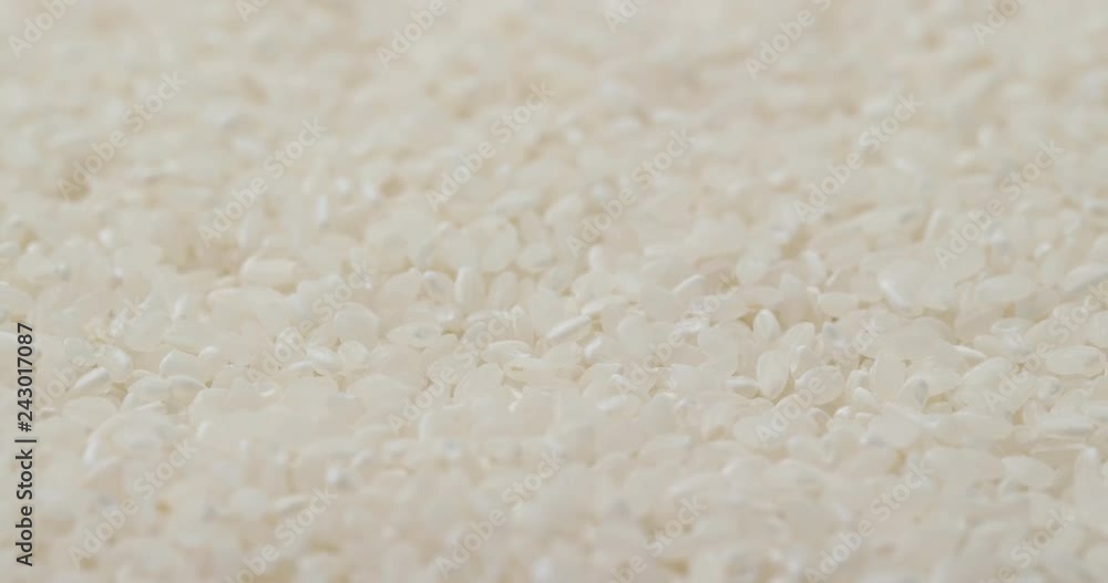White Rice dried and uncooked